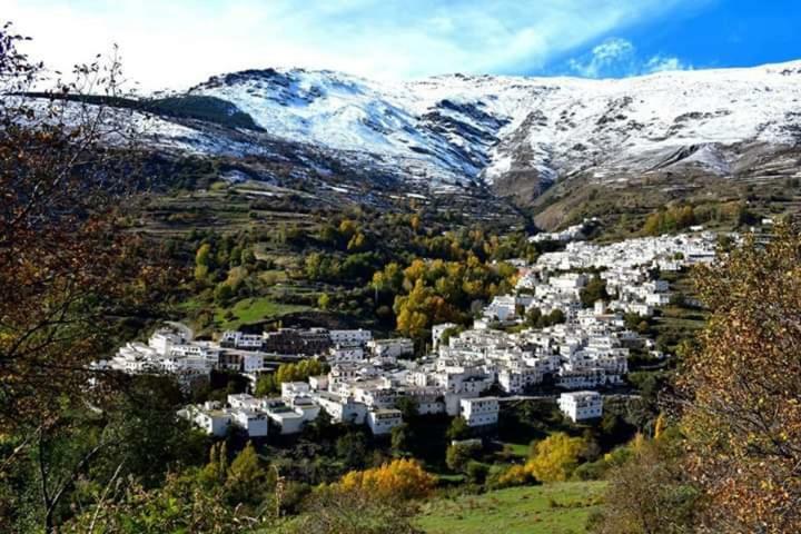 Apartamentos Casa Fermina - A 2 Horas De Las Pistas De Esqui Trevélez 외부 사진